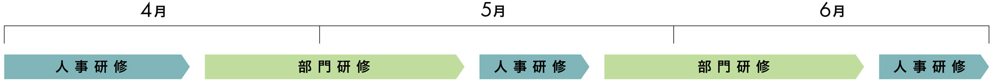 新卒研修フロー